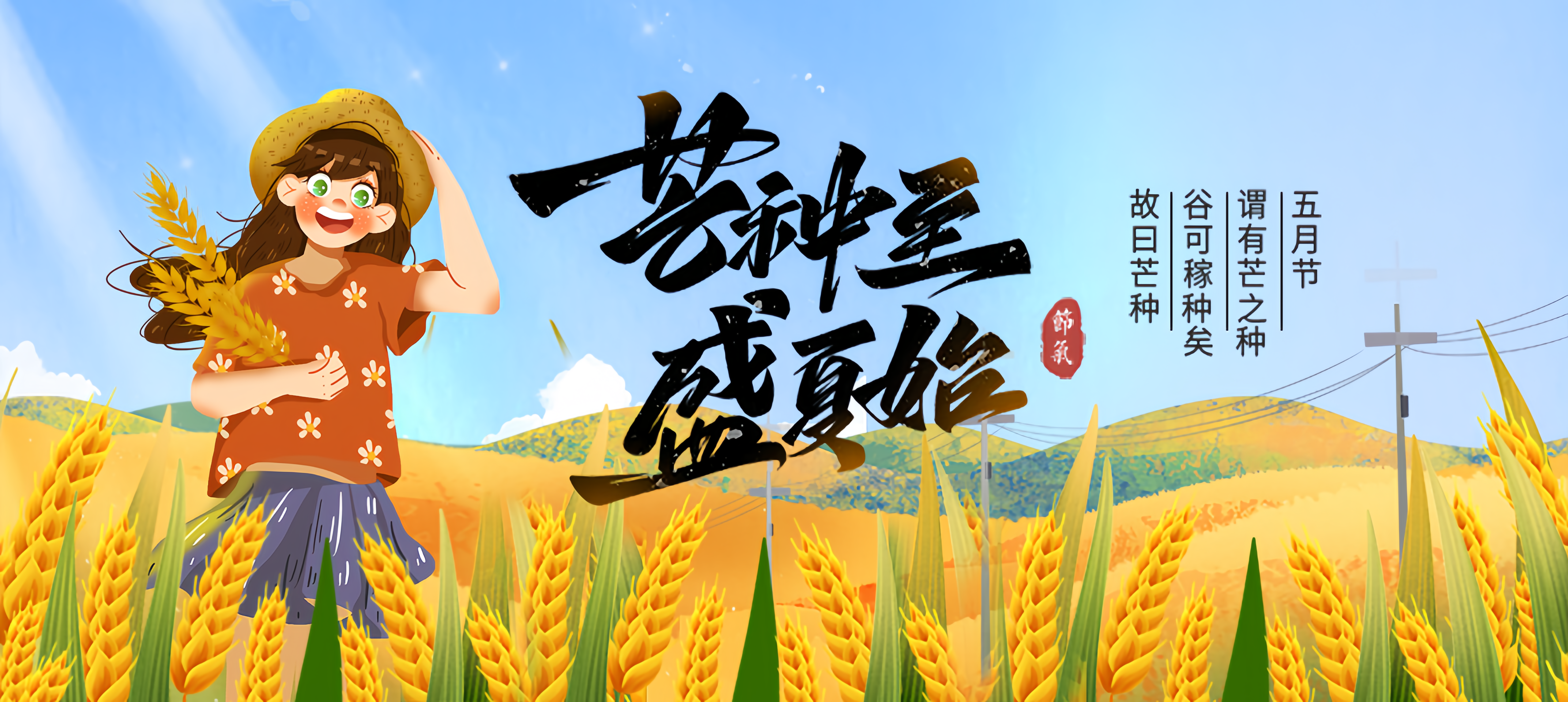 芒种2